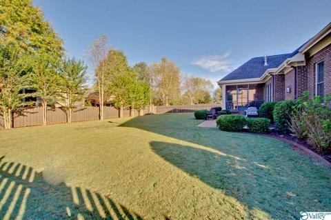 117 Appleton Ln, Madison, AL 35756 photo 49