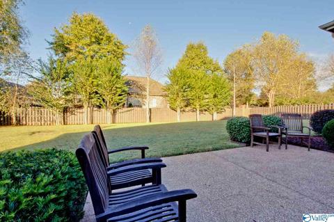 117 Appleton Ln, Madison, AL 35756 photo 43