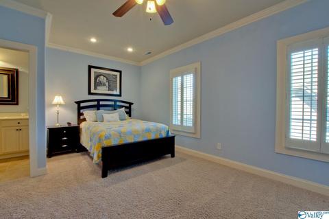 117 Appleton Ln, Madison, AL 35756 photo 35