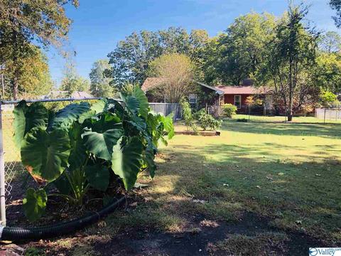 4635 Cornwall Dr, Cedar Bluff, AL 35959 photo 35