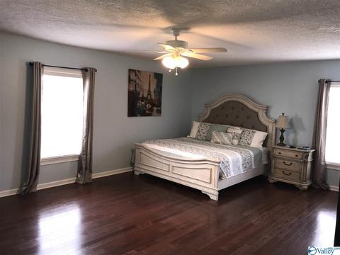 766 Old Highway 24, Trinity, AL 35673 photo 8