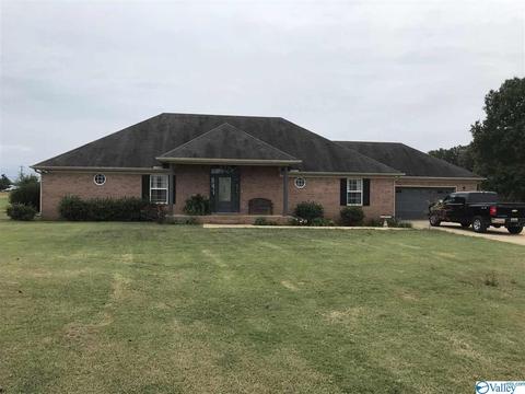 766 Old Highway 24, Trinity, AL 35673 photo 1