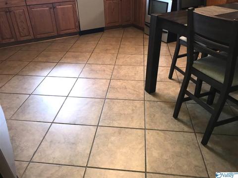 766 Old Highway 24, Trinity, AL 35673 photo 4