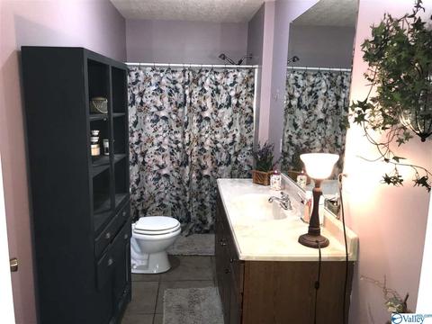 766 Old Highway 24, Trinity, AL 35673 photo 13