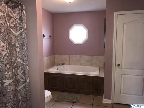 766 Old Highway 24, Trinity, AL 35673 photo 9