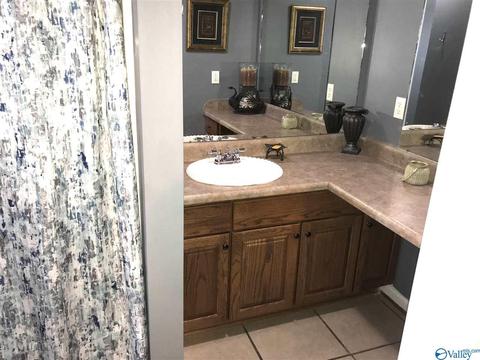 766 Old Highway 24, Trinity, AL 35673 photo 12
