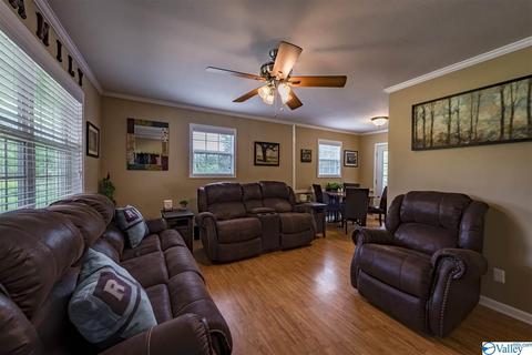 412 County Road 323, Ider, AL 35981 photo 6