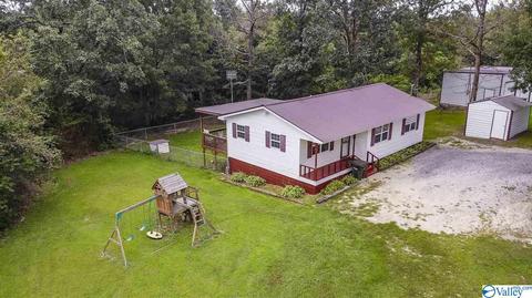 412 County Road 323, Ider, AL 35981 photo 3