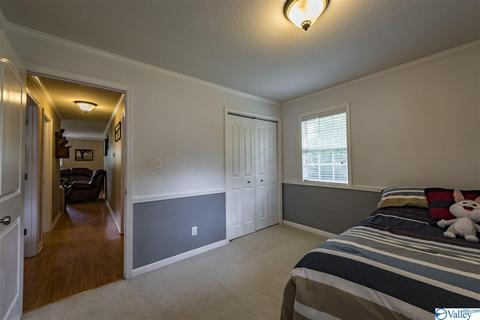 412 County Road 323, Ider, AL 35981 photo 17