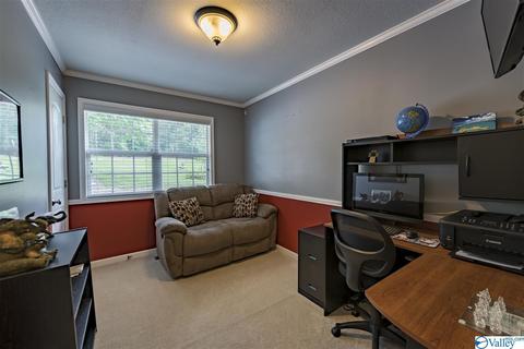 412 County Road 323, Ider, AL 35981 photo 14