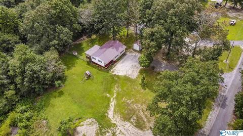 412 County Road 323, Ider, AL 35981 photo 34