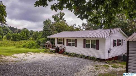 412 County Road 323, Ider, AL 35981 photo 26