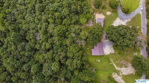 412 County Road 323, Ider, AL 35981 photo 35