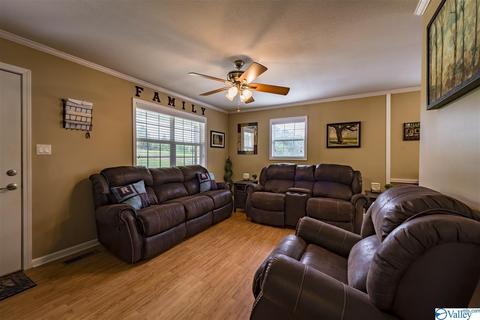 412 County Road 323, Ider, AL 35981 photo 4