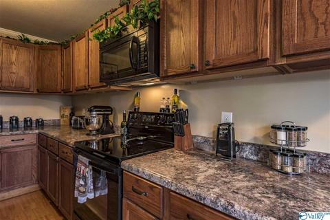 412 County Road 323, Ider, AL 35981 photo 10