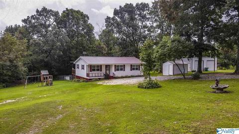 412 County Road 323, Ider, AL 35981 photo 2