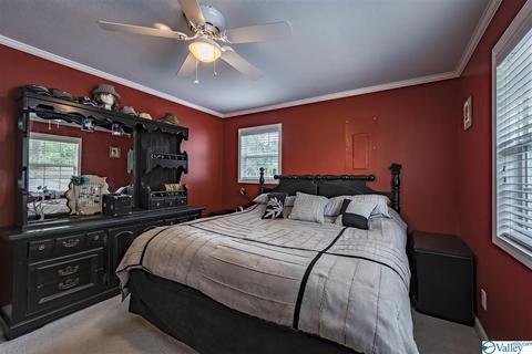 412 County Road 323, Ider, AL 35981 photo 18