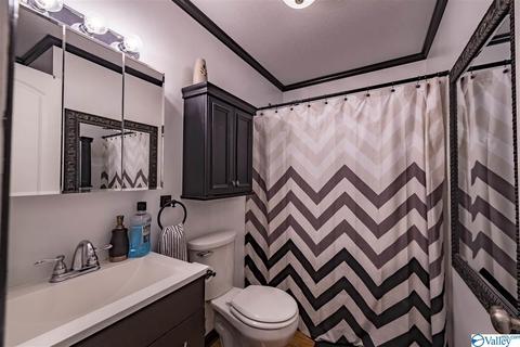 412 County Road 323, Ider, AL 35981 photo 15