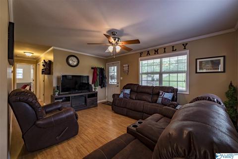412 County Road 323, Ider, AL 35981 photo 7