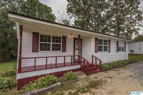 412 County Road 323, Ider, AL 35981 photo 1