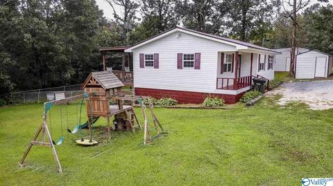 412 County Road 323, Ider, AL 35981 photo 22