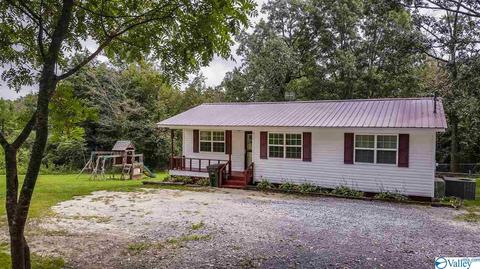 412 County Road 323, Ider, AL 35981 photo 24
