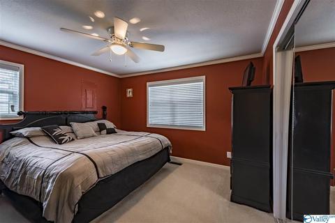 412 County Road 323, Ider, AL 35981 photo 19