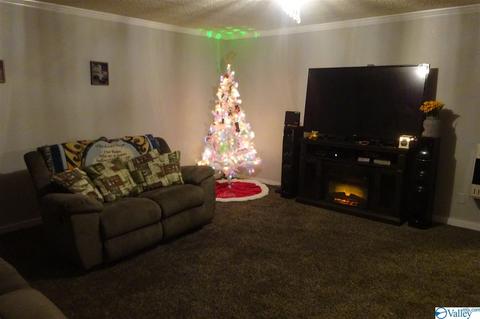 508 Cullman Rd, Arab, AL 35016 photo 6