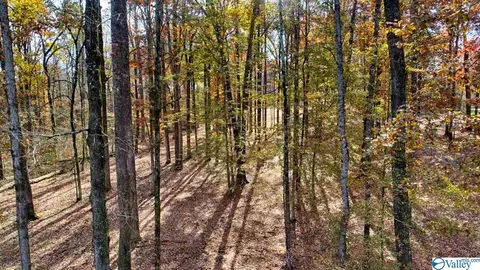 22940 Compton Rd, Athens, AL 35613 photo 10