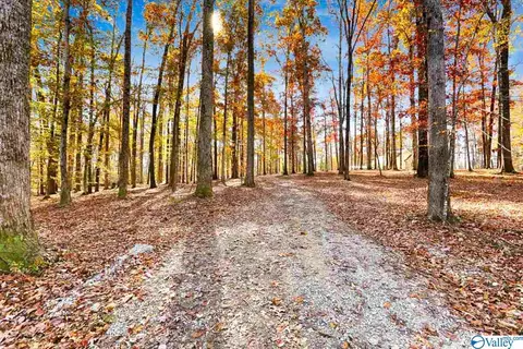 22940 Compton Rd, Athens, AL 35613 photo 3
