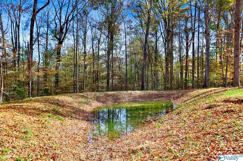 22940 Compton Rd, Athens, AL 35613 photo 23