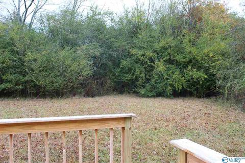 407 S 2nd St, Addison, AL 35540 photo 28
