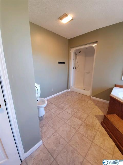 2524 County Road 19, Dutton, AL 35744 photo 22