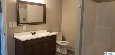 2524 County Road 19, Dutton, AL 35744 photo 37