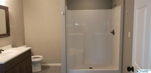 2524 County Road 19, Dutton, AL 35744 photo 40