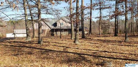 2524 County Road 19, Dutton, AL 35744 photo 2