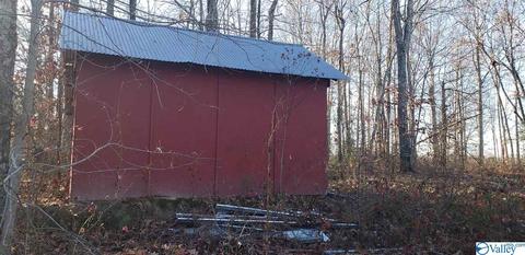 2524 County Road 19, Dutton, AL 35744 photo 42