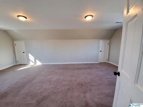 2524 County Road 19, Dutton, AL 35744 photo 48