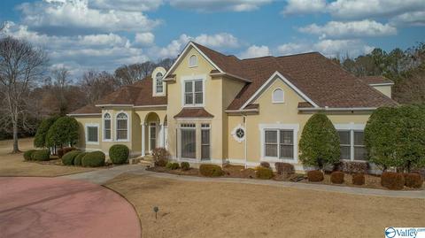 2148 E Upper River Rd, Decatur, AL 35603 photo 1