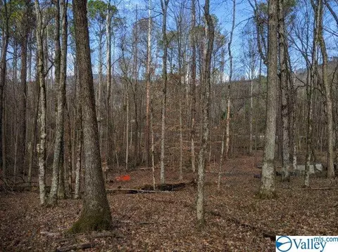 2108 Cherry Tree Rd, Gurley, AL 35748 photo 6