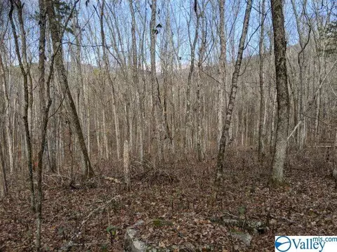 2108 Cherry Tree Rd, Gurley, AL 35748 photo 10