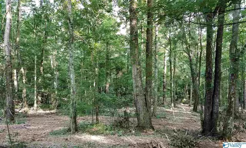 2108 Cherry Tree Rd, Gurley, AL 35748 photo 11