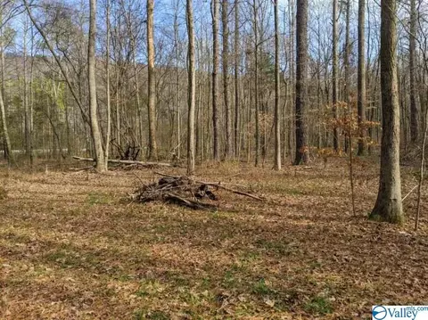 2108 Cherry Tree Rd, Gurley, AL 35748 photo 5