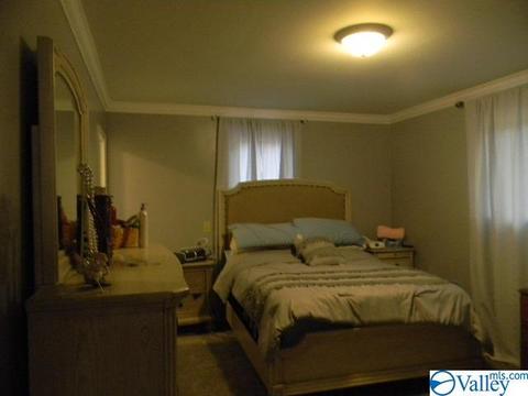543 Thomas Rd, Laceys Spring, AL 35754 photo 44