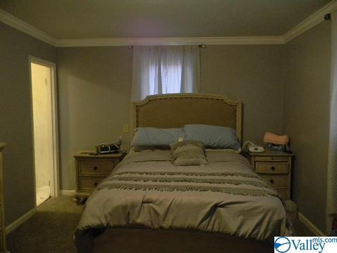 543 Thomas Rd, Laceys Spring, AL 35754 photo 45