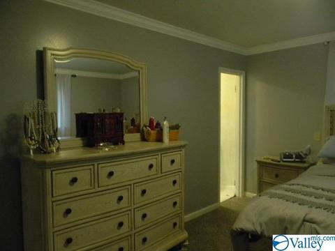 543 Thomas Rd, Laceys Spring, AL 35754 photo 46