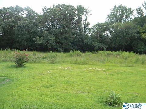 543 Thomas Rd, Laceys Spring, AL 35754 photo 8