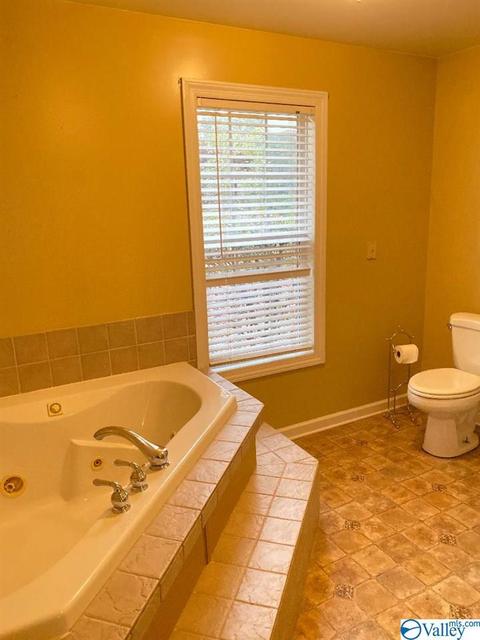 171 Dee Ann Rd, Trinity, AL 35673 photo 20