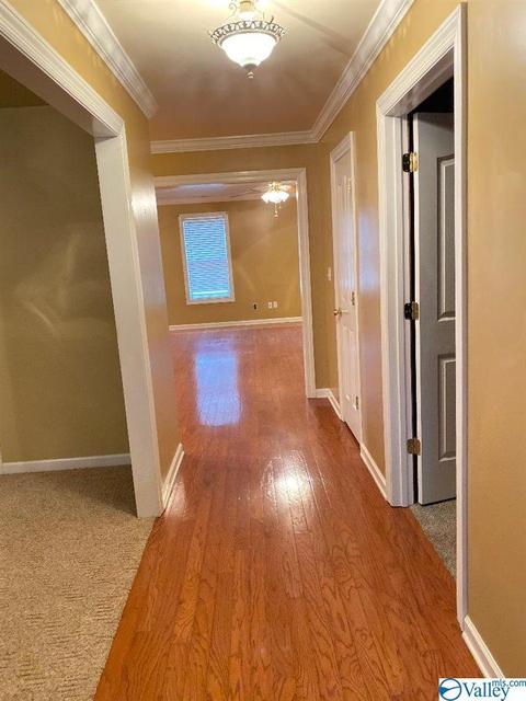 171 Dee Ann Rd, Trinity, AL 35673 photo 12