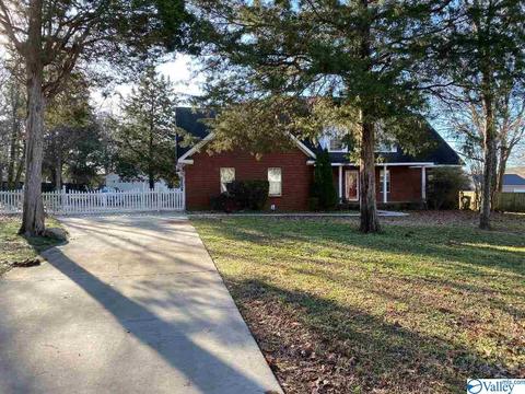 171 Dee Ann Rd, Trinity, AL 35673 photo 35